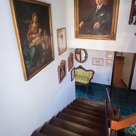 Panzió Buba Superior 4*