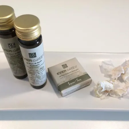 Panzió Buba Superior