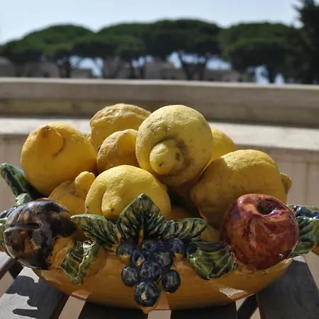 Panzió Buba Superior