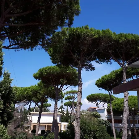 Panzió Buba Superior 4*